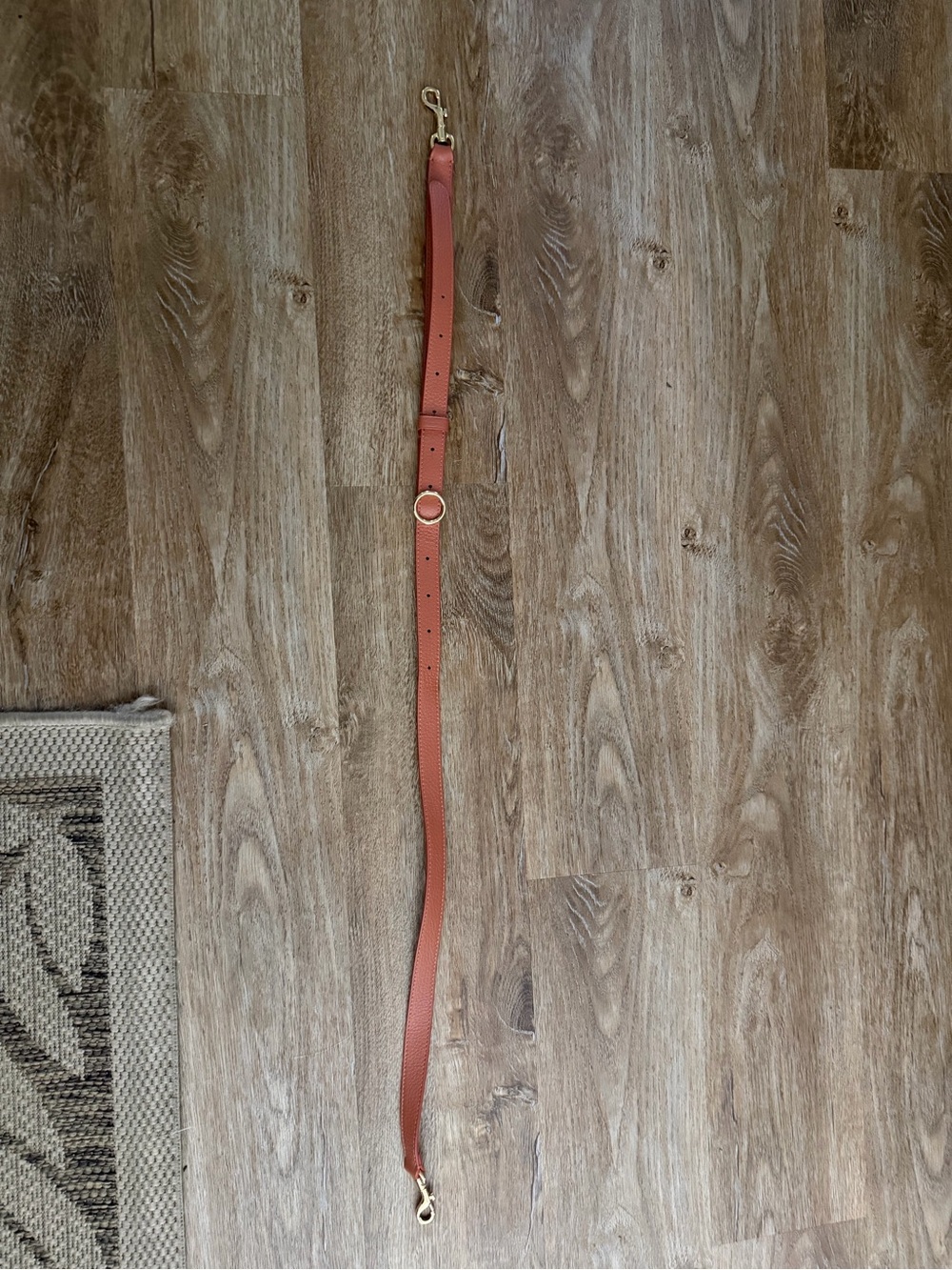 Cuyana Adjustable Strap In terracotta